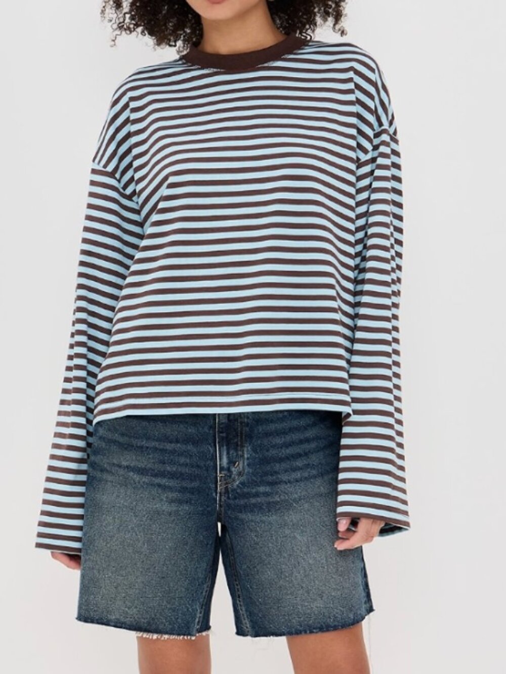 Lioness Bloom Blue and Brown Long Sleeve Striped - M